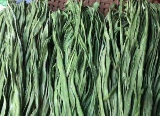 The Ultimate Superfood: A Vegetable Pricier Than Meat, Yet More Nutritious Than Bird’s Nest