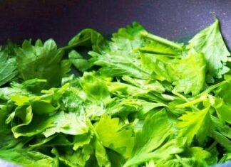 “This Super Veggie Heals Your Liver, But Most People Throw It Away! Eat It Once a Week for a Happy, Healthy Liver and Digestive System.”