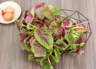 4 Vegetables That Are More Nutritious Than Meat and Cheaper Than Medicine: A Powerful Health Secret That Many Overlook