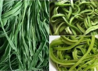 The Miracle Vegetable: Unveiling the Secret to Reaping the Benefits of This Affordable Superfood