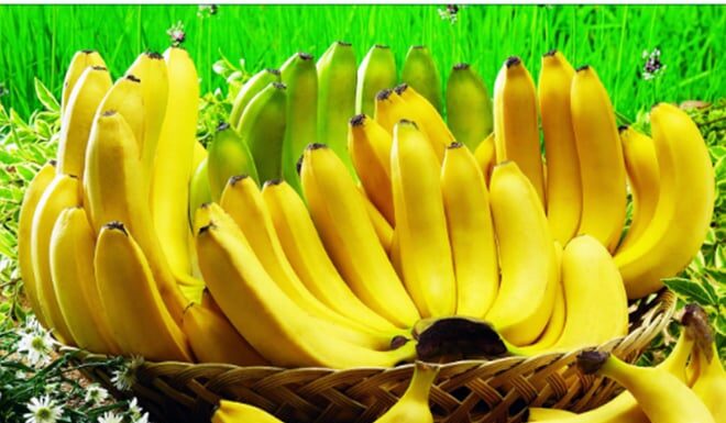 “The Familiar Fruit of Tet: Harvard University-Backed Longevity Support”