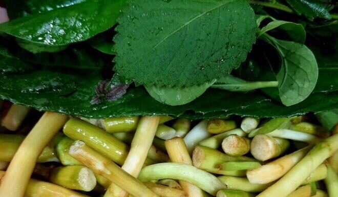 The Heavenly Gift: From a Pauper’s Pantry to a Gourmet’s Delicacy