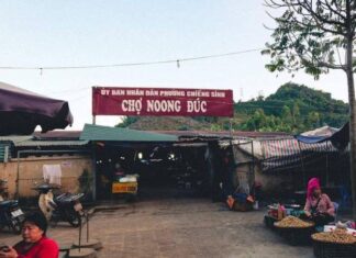 The Ultimate Guide to Son La’s Unique Forest Delicacies: From a Temporary Market to a Bustling Shopping Hub