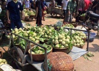 The Mountain’s Delight: A Unique Fruit Market in Lang Son