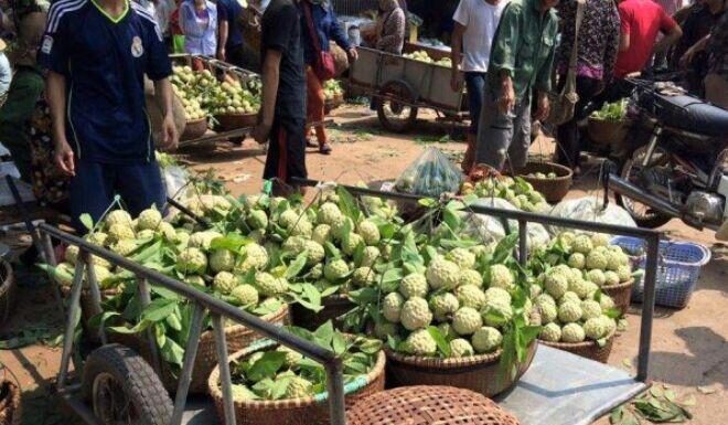 The Mountain’s Delight: A Unique Fruit Market in Lang Son