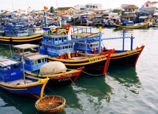 The Centuries-Old Fish Market in the Heart of Phan Thiet: A Haven for Delicious and Affordable Seafood.