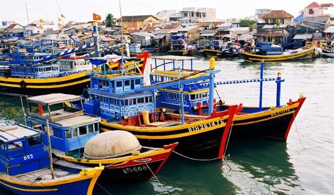 The Centuries-Old Fish Market in Phan Thiet: A Haven for Delicious and Affordable Seafood