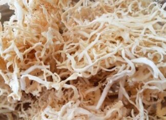 The Wild Thing: A Foraged Delicacy.