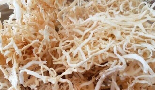 The Wild Thing: A Foraged Delicacy.