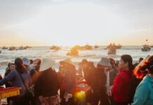 The Hidden Gem of Quang Binh: A Bustling Fish Market Where Locals Find the Freshest Seafood Deals