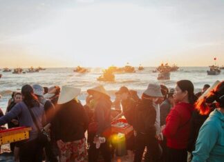 The Hidden Gem of Quang Binh: A Bustling Fish Market Where Locals Find the Freshest Seafood Deals