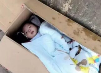 The Trash Collector Who Adopted an Abandoned Baby Girl, and the Heartwarming Words That Followed Her Graduation