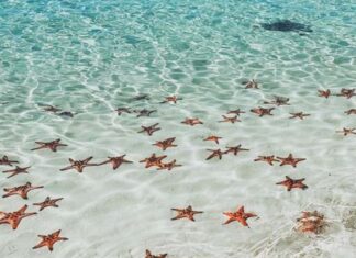 5 Breathtaking Beaches You Need to Visit This Summer