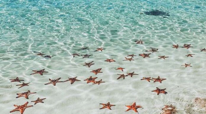 5 Breathtaking Beaches You Need to Visit This Summer