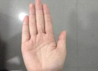 Women with These Kinds of Palms Are Extraordinarily Wealthy! Check if You Have Them, Too!
