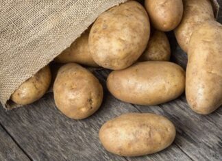 5 Tips to Keep Potatoes Fresh and Sprout-Free: A Comprehensive Guide