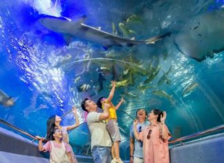 Nha Trang Oceanography Museum – A Captivating Miniature Ocean in the Heart of the City