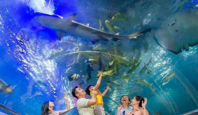 Nha Trang Oceanography Museum – A Captivating Miniature Ocean in the Heart of the City