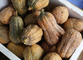 Who Should Avoid Eating Pumpkin?