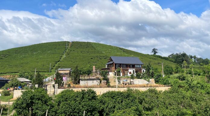 The Great Escape: A Young Couple’s $85,000 Wooden Retreat Amidst the Lush Tea Gardens of the Highlands