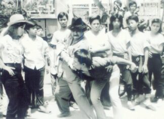 The Kung Fu Master: A Tale of Defiance and Romance