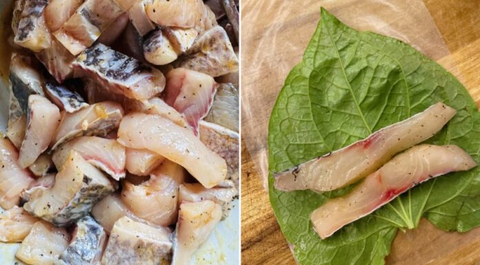 “The Ultimate Crispy Fish and Lettuce Wrap: A Social Media Sensation”