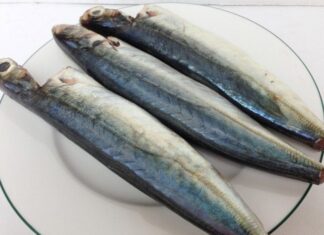 “The Unsung Hero of the Sea: A Superfood Stealing the Spotlight.”