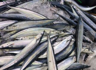 The Ultimate Fish: The Japanese Secret to a Healthy Diet