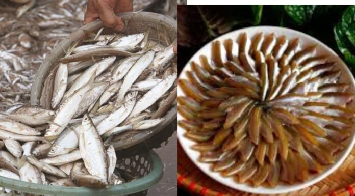 7 Small But Mighty Fish That Are Rich in Omega-3s and Won’t Break the Bank