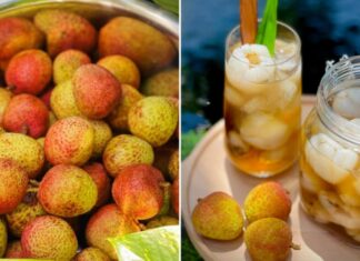 The Ultimate Guide to Brewing the Perfect Cup of Tea: Elevate Your Tea Experience with This Simple Hack