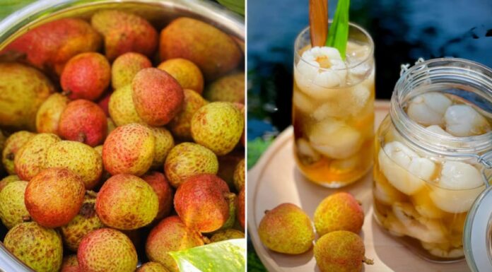 The Ultimate Guide to Brewing the Perfect Cup of Tea: Elevate Your Tea Experience with This Simple Hack