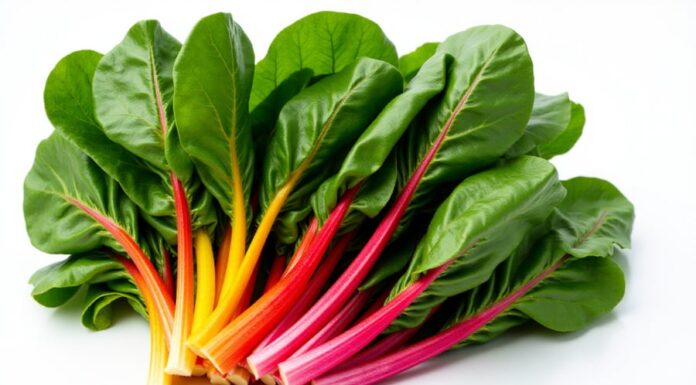 The Ultimate Superfood: Unveiling the Iron-Rich Vegetable that Rivals Red Meat