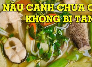 “To Boil or Not to Boil: The Great Fish Soup Conundrum”