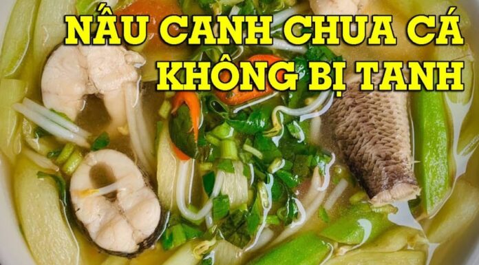 “To Boil or Not to Boil: The Great Fish Soup Conundrum”