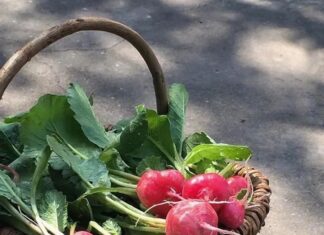 “Spring Superfoods: Nosh on 3, Sip on 3, Do 3 for Optimal Health”