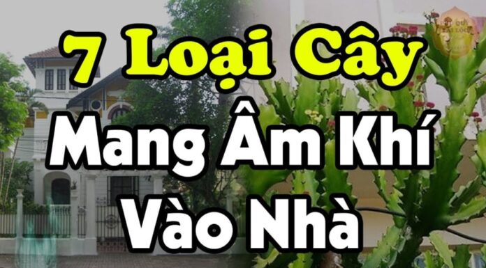 7 Types of Plants That Bring Negative Energy Into Your Home: Discover the Plants That Wither as You Thrive, and Remove Them Before It’s Too Late!