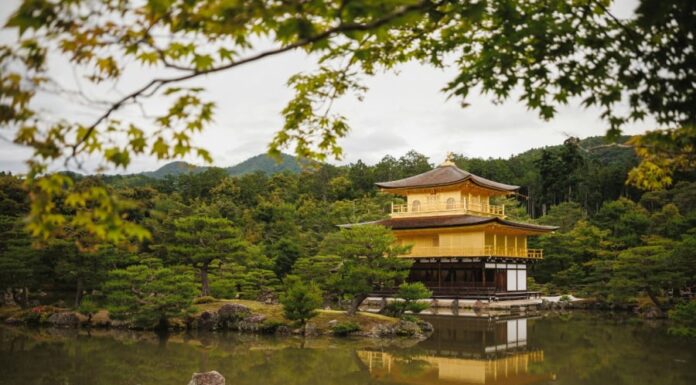 Ancestral Advice: The 5 Trees You Should Never Cut Down, Even if You’re Paid to Do So