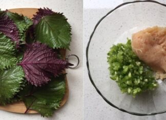 “Don’t Just Use Perilla Leaves, Roll Your Meat Patty with This Leaf for a Tastier and More Nutritious Treat.”
