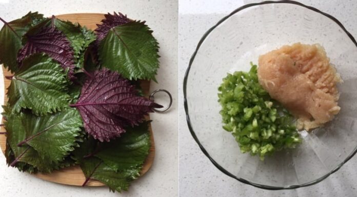 “Don’t Just Use Perilla Leaves, Roll Your Meat Patty with This Leaf for a Tastier and More Nutritious Treat.”