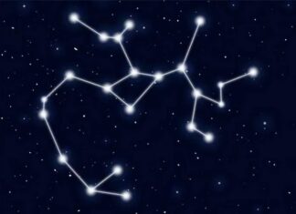 “5 Zodiac Signs of Women Who Bloom After Heartbreaks: Radiant Beauty Arises from Pain”