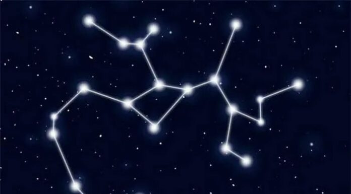 “5 Zodiac Signs of Women Who Bloom After Heartbreaks: Radiant Beauty Arises from Pain”