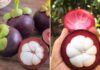 “The Ultimate Guide to Choosing the Perfect Mangosteen: Unveiling the Secret to Spotting the Juiciest, Most Luscious Fruit with Thin Skin.”