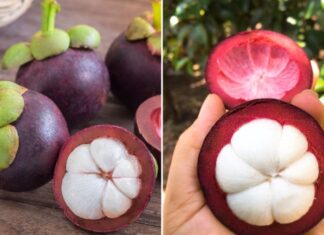 “The Ultimate Guide to Choosing the Perfect Mangosteen: Unveiling the Secret to Spotting the Juiciest, Most Luscious Fruit with Thin Skin.”
