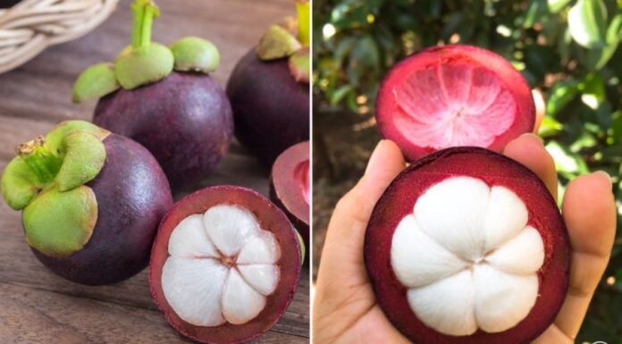 How to Choose the Best Mangosteen: A Simple Guide to Finding the Juiciest, Most Pulpy Fruit with Thin Skin.