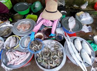 “Warning: Don’t Buy Seafood with These Red Flags – Protect Your Health by Avoiding These Tell-Tale Signs”