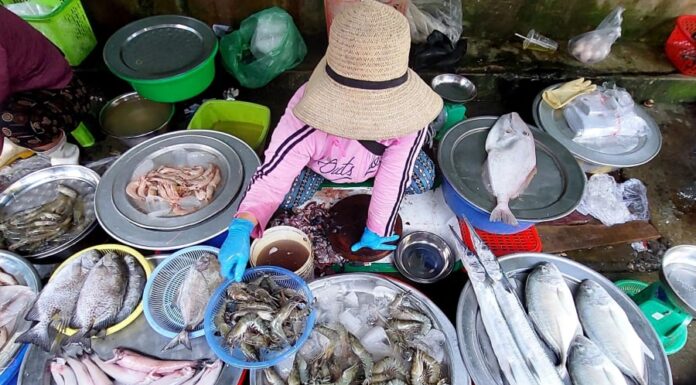 “Warning: Don’t Buy Seafood with These Red Flags – Protect Your Health by Avoiding These Tell-Tale Signs”