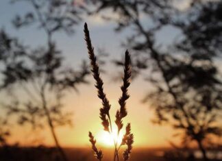 A Calm Mind Through the Chaos: The Wise Woman’s Guide to Mastering Life’s Challenges