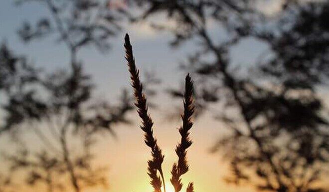 A Calm Mind Through the Chaos: The Wise Woman’s Guide to Mastering Life’s Challenges