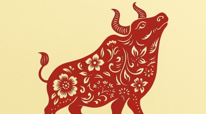 The Lunar Month of May: 3 Zodiac Animals That Will Strike it Rich Through Hard Work