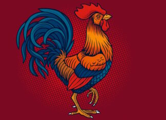 A Fortune-Flipping Opportunity: 3 Zodiac Signs Blessed with Luck from May Onwards, an Early Investment Could Pay Off Big Time